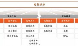 晶核2025年最新爆料,揭秘未来科技新纪元