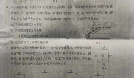 小鞠皮肤爆料最新消息是真的吗,最新消息真实性揭秘