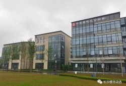 长沙最新资讯爆料,揭秘城市热点事件背后的真相