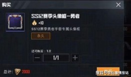 和平精英新军需最新爆料旭升最新,荣耀归来——和平精英新军需旭升惊艳亮相