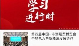 岳阳最新爆料新闻直播,揭秘重大事件背后真相！